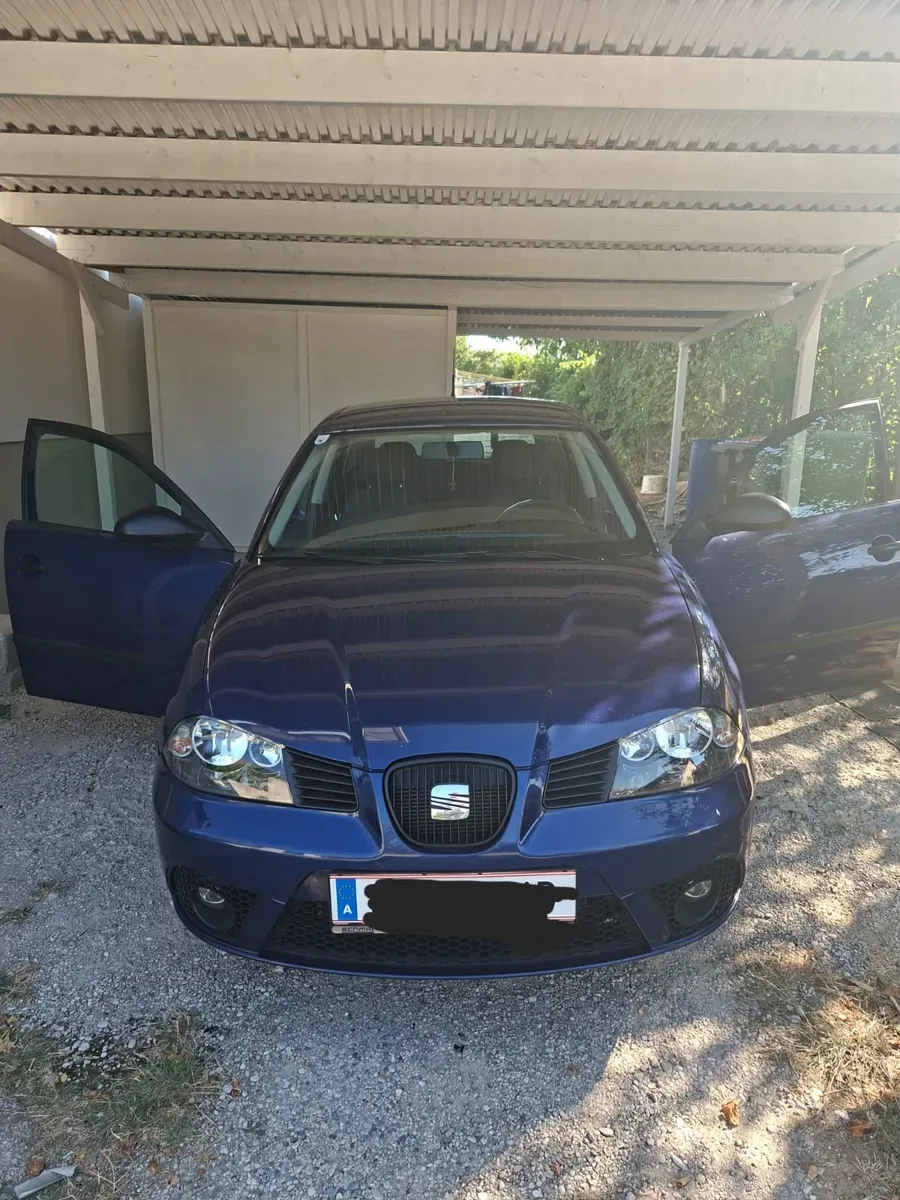 Seat Ibiza 2006 photo 2