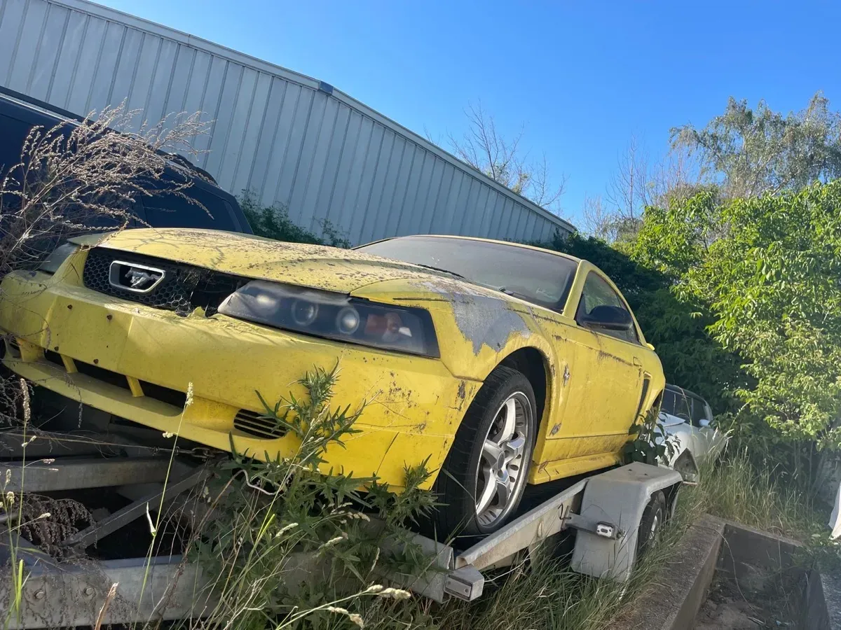 Ford Mustang