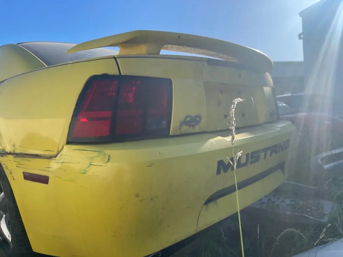 Ford Mustang 2001 photo 2