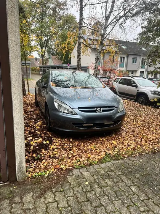 Peugeot 307