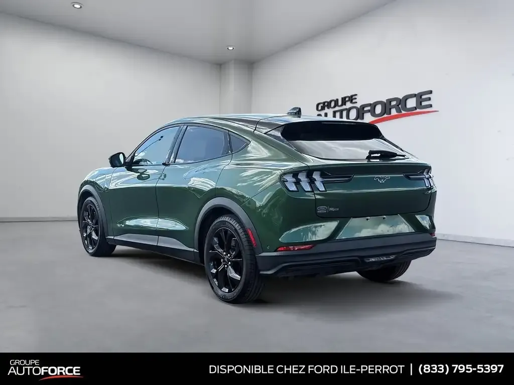 Ford Mustang Mach-E 2024 photo 4
