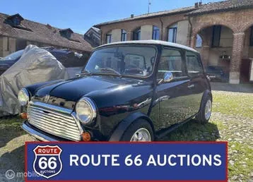 Rover Mini