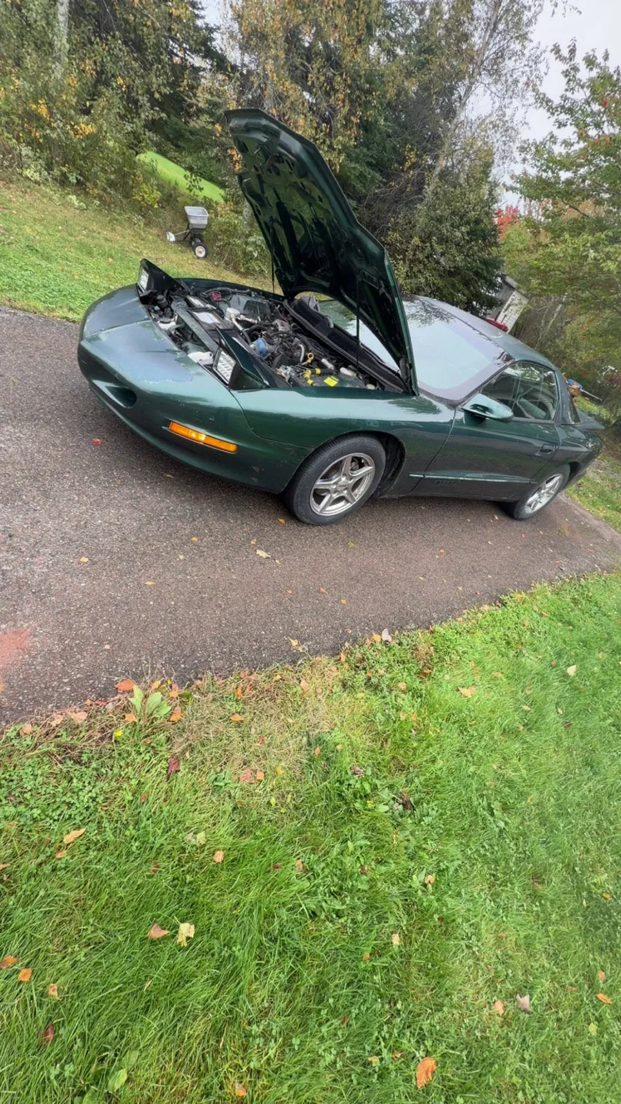 Pontiac Firebird 1996 photo 5