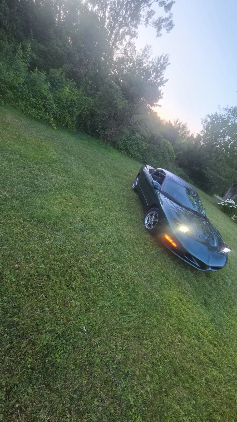 Pontiac Firebird 1996 photo 4