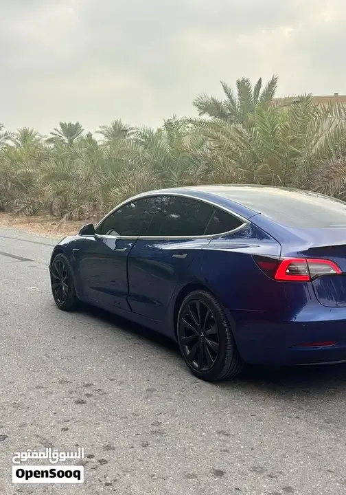 Tesla Model 3 2020 photo 2