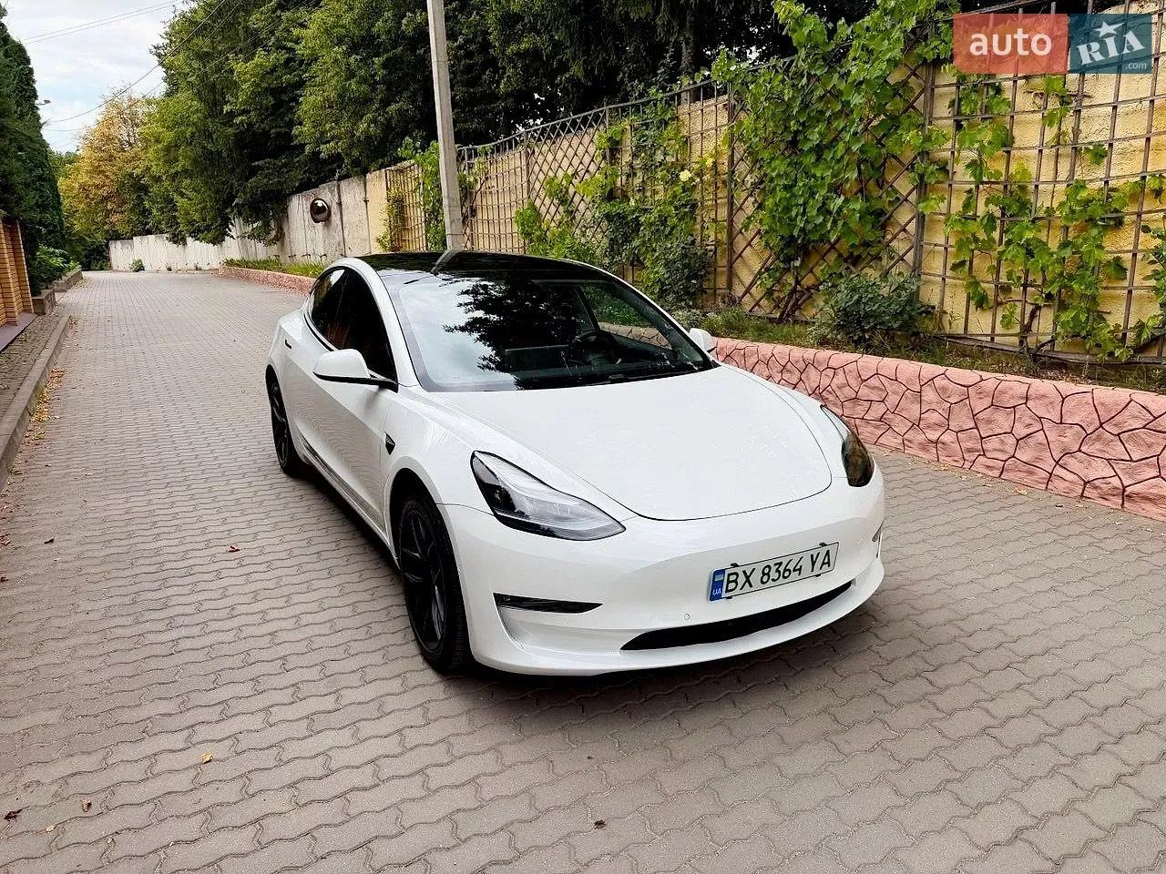 Tesla Model 3 2021 photo 3
