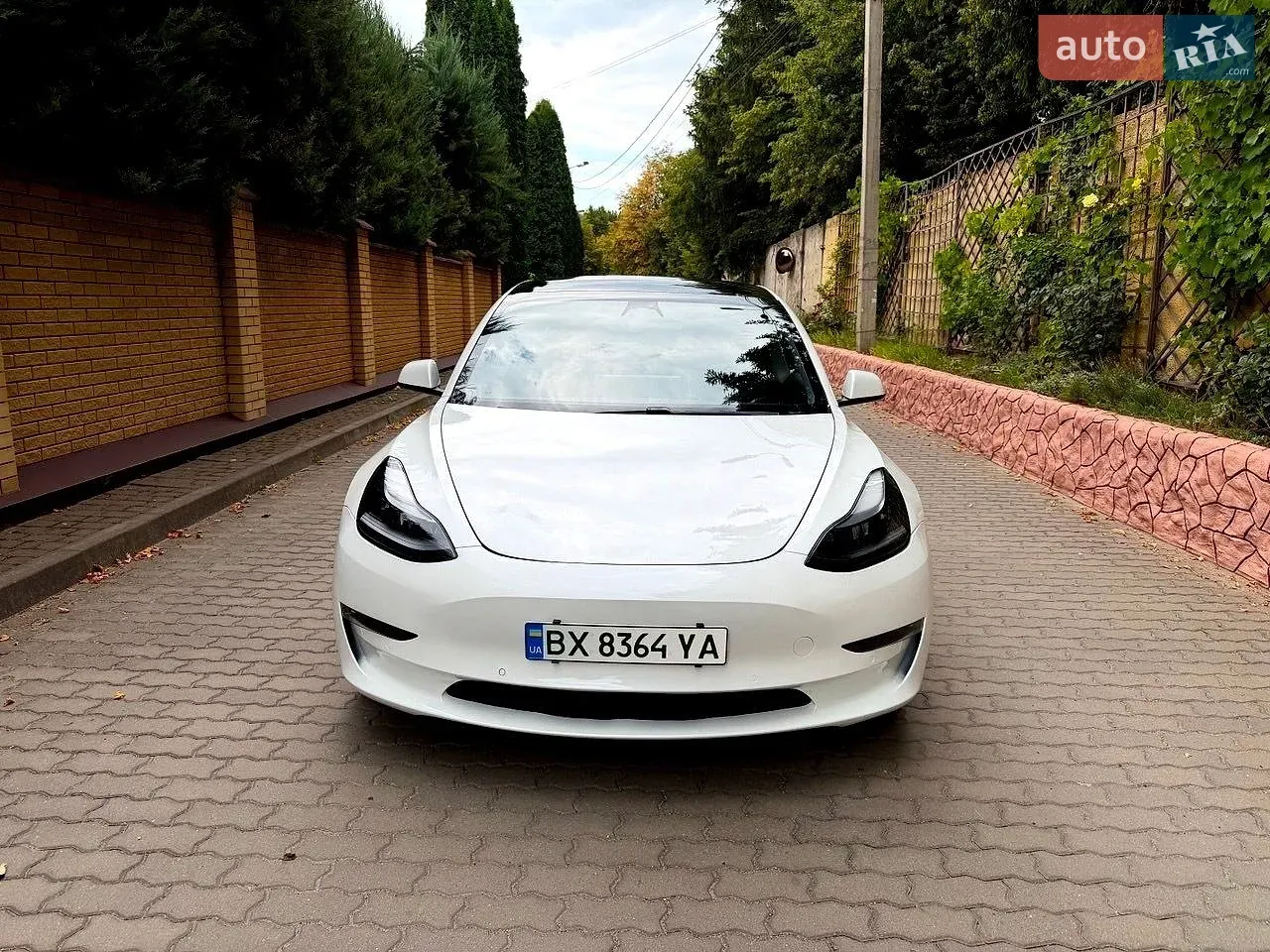 Tesla Model 3 2021 photo 2