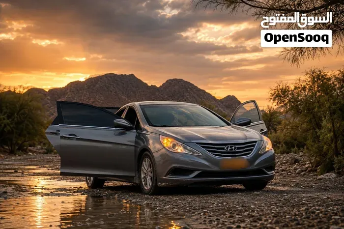 Hyundai Sonata 2012 photo 2
