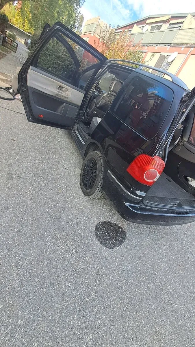Volkswagen Sharan 2006 photo 2
