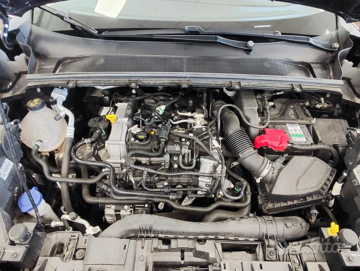 Ford Puma 2023 photo 4