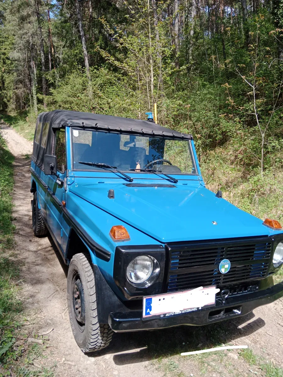 Puch Puch G 1986 photo 2