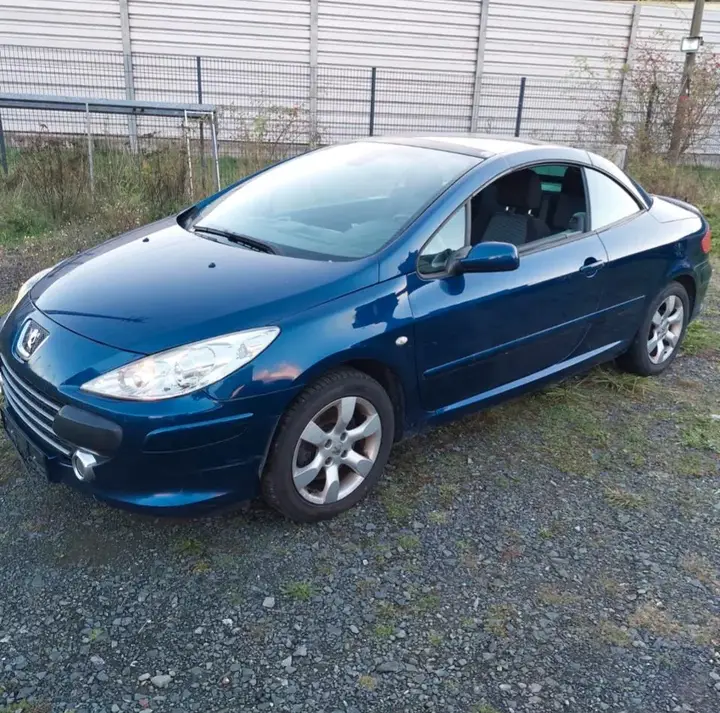 Peugeot 307 Cc Cabrio