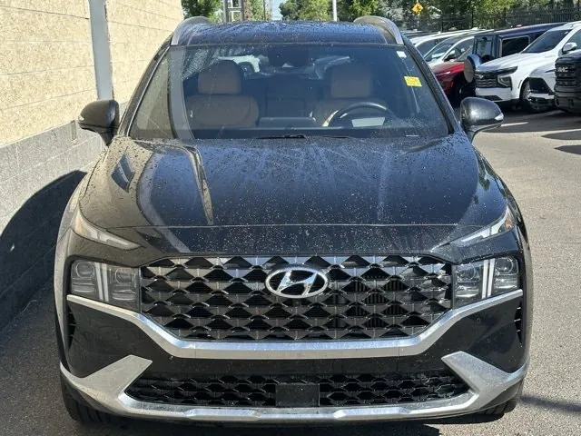Hyundai Santa Fe 2021 photo 2