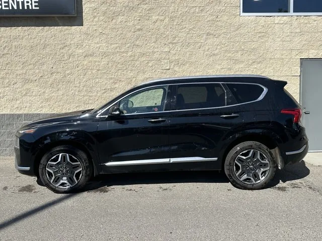 Hyundai Santa Fe 2021 photo 3