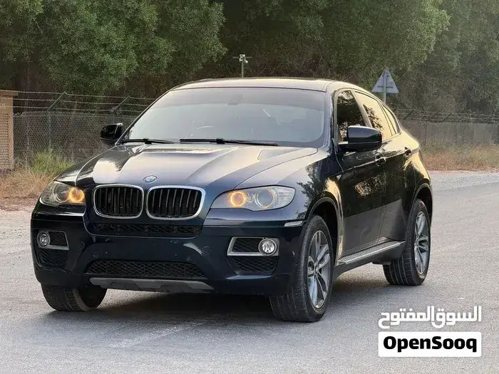 BMW X6 2013 photo 2