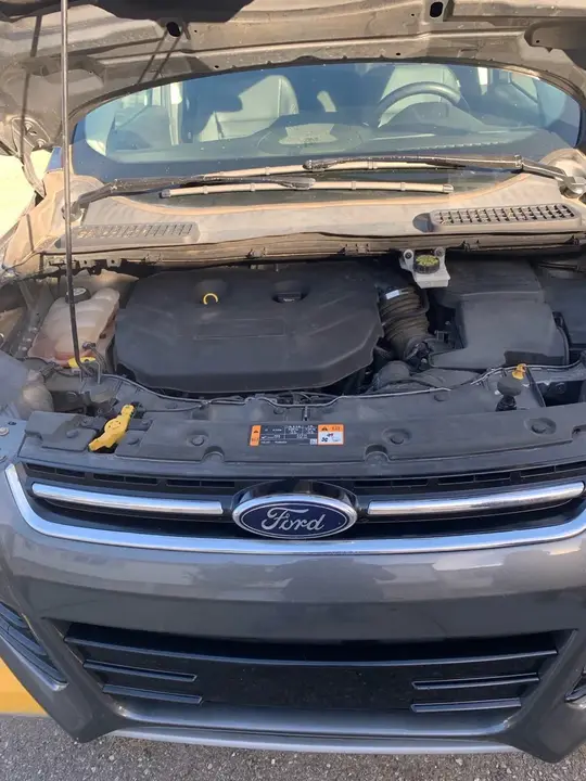 Ford Escape 2014 photo 4