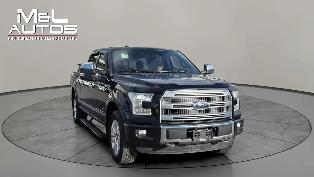 Ford F-150 2016 photo 3