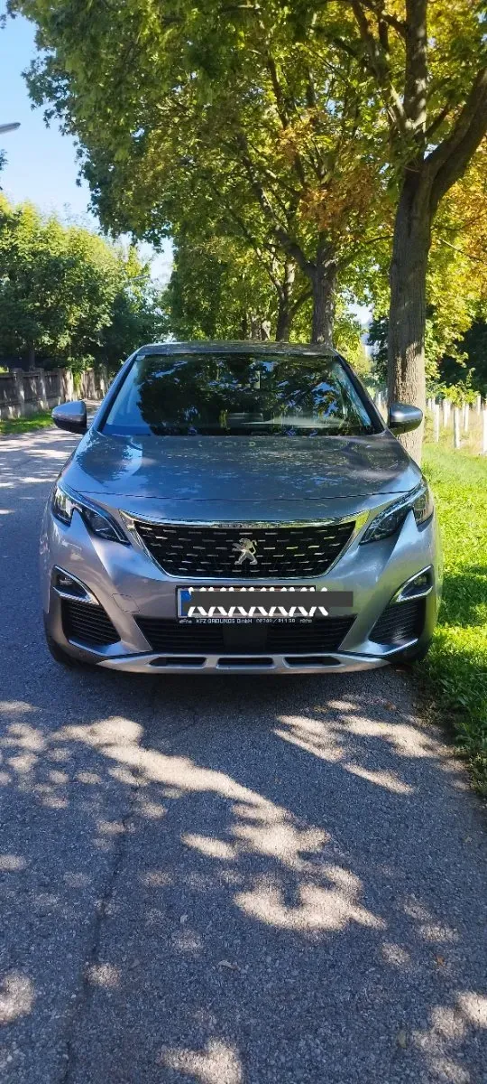 Peugeot 3008 2018 photo 2