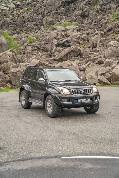 Toyota Land Cruiser 2007 photo 3