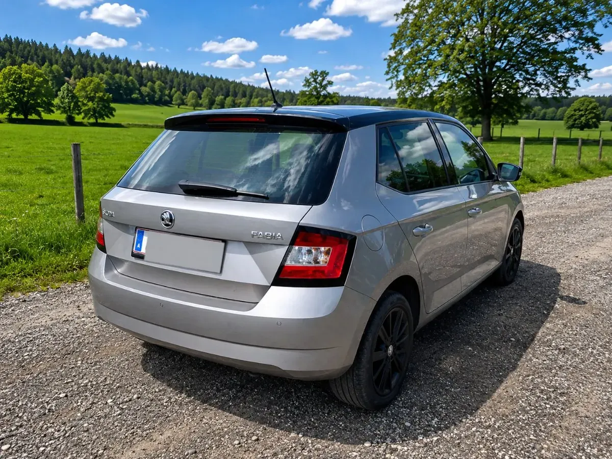 Skoda Fabia 2017 photo 3