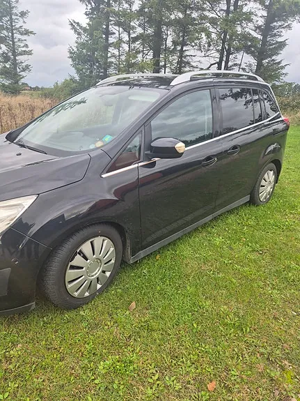 Ford Grand C-Max 2011 photo 2