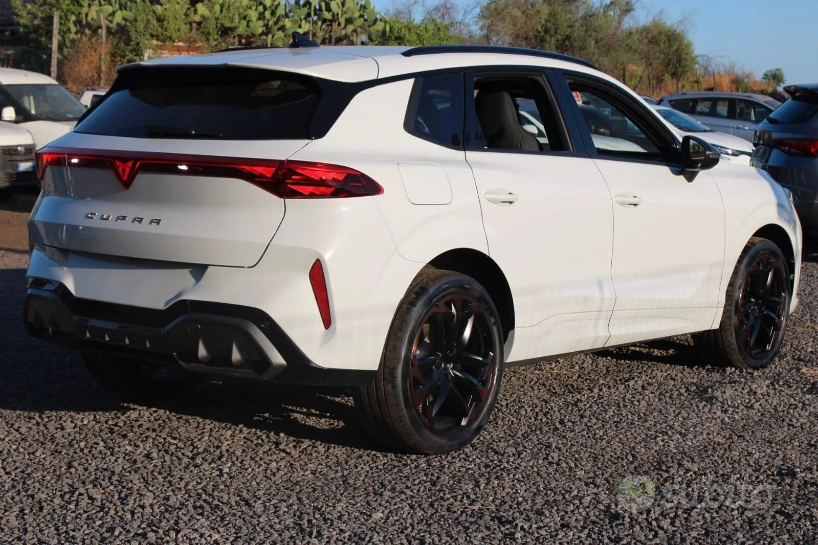 Cupra Terramar photo 5