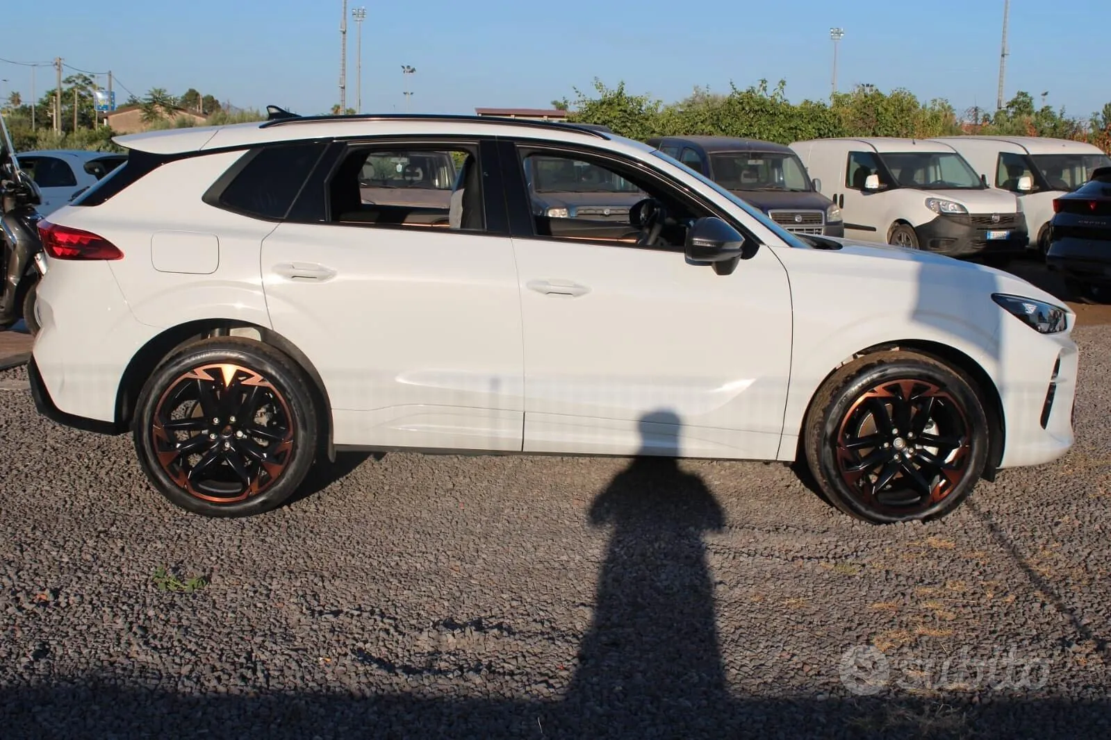 Cupra Terramar photo 4