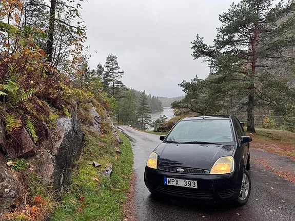 Ford Fiesta 2005 photo 2