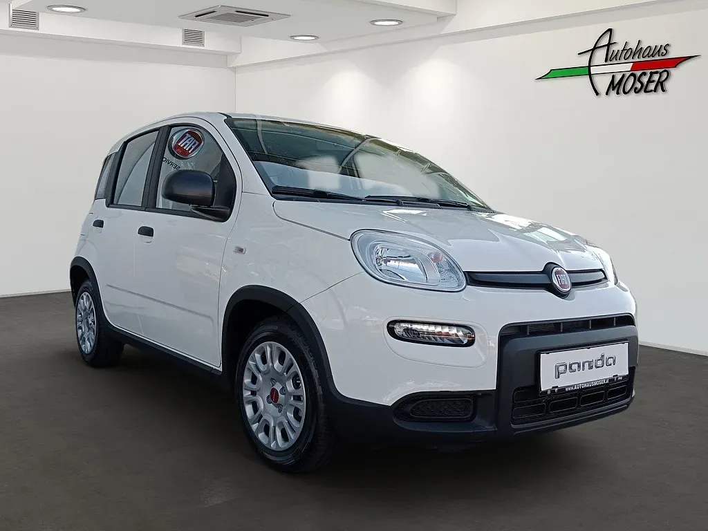 Fiat Panda 2024 photo 2