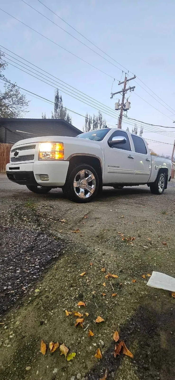 Chevrolet Silverado 1500 2010 photo 2