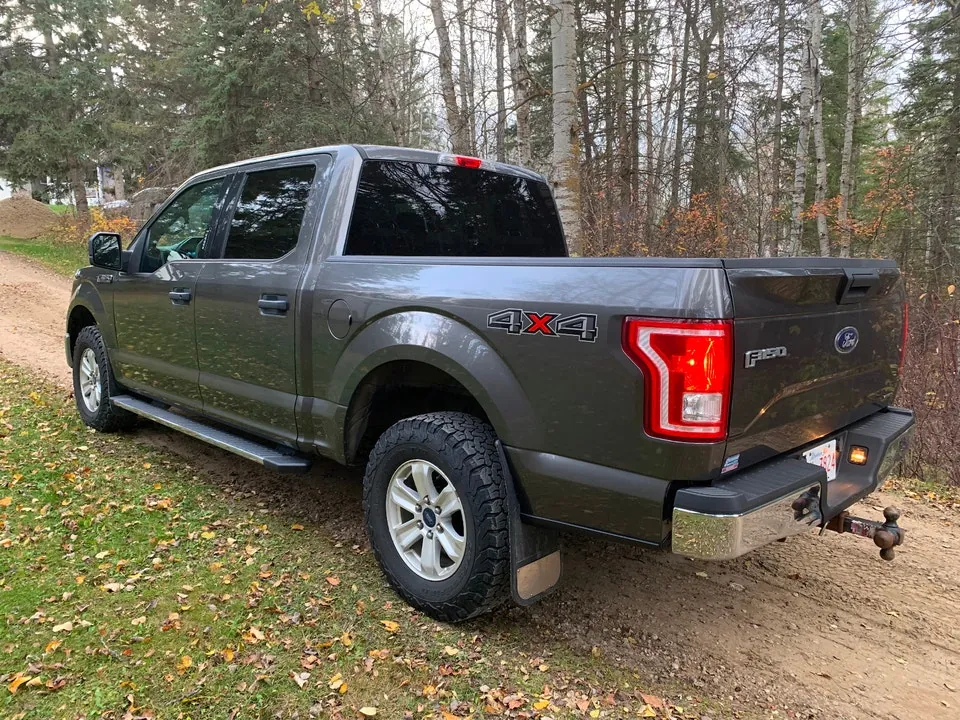 Ford F-150 2015 photo 4