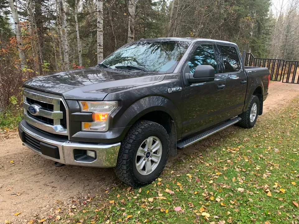 Ford F-150 2015 photo 2