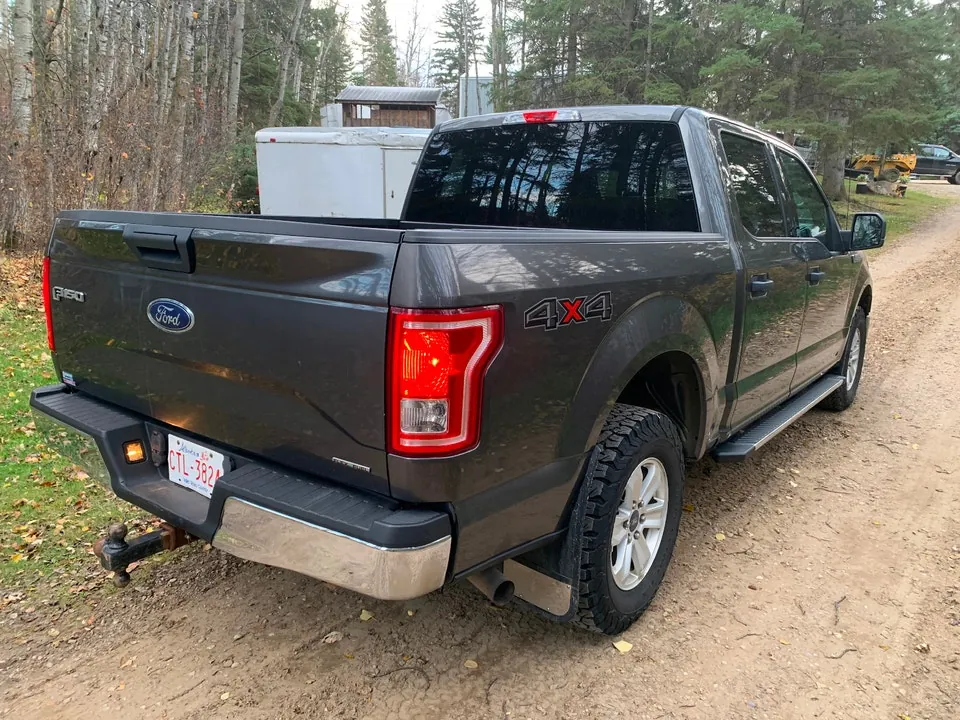 Ford F-150 2015 photo 3