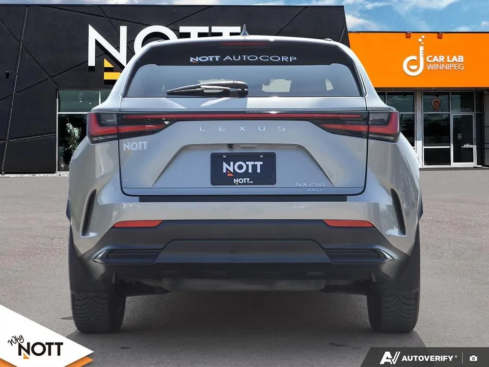 Lexus Nx 2024 photo 5