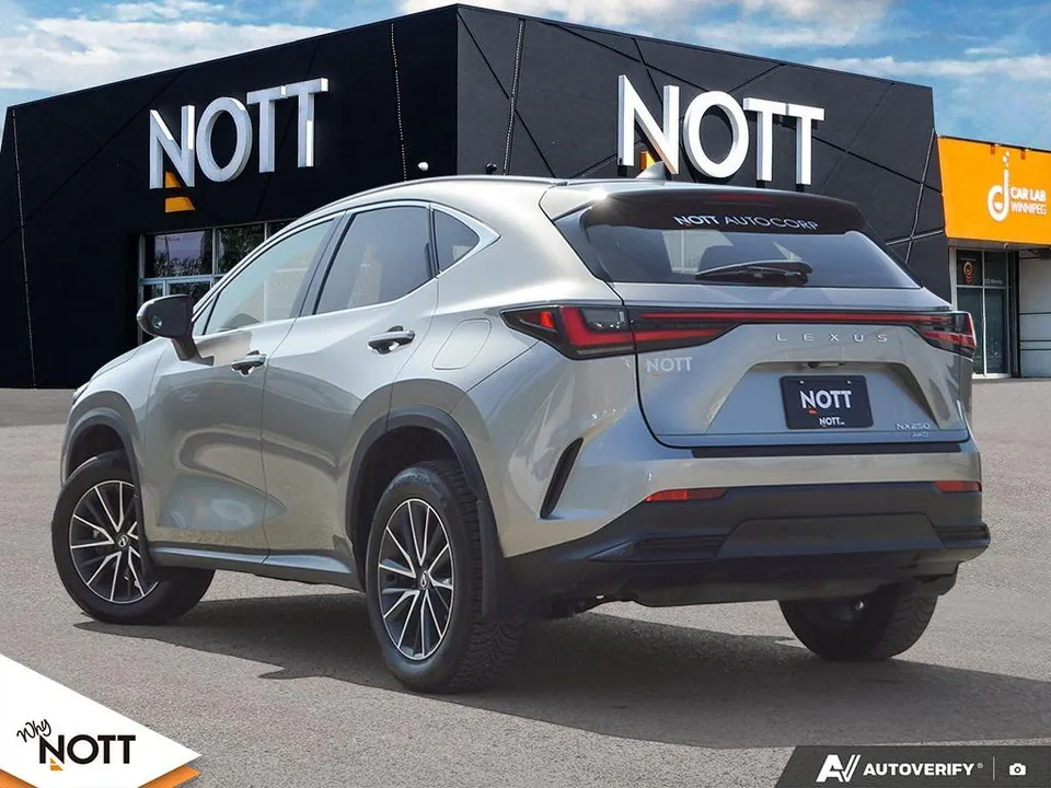 Lexus Nx 2024 photo 4