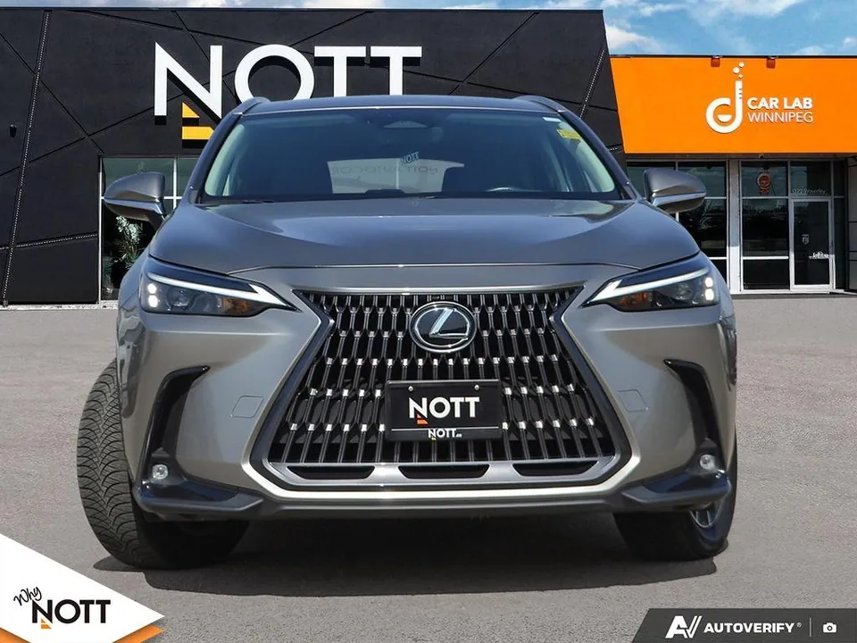Lexus Nx 2024 photo 2