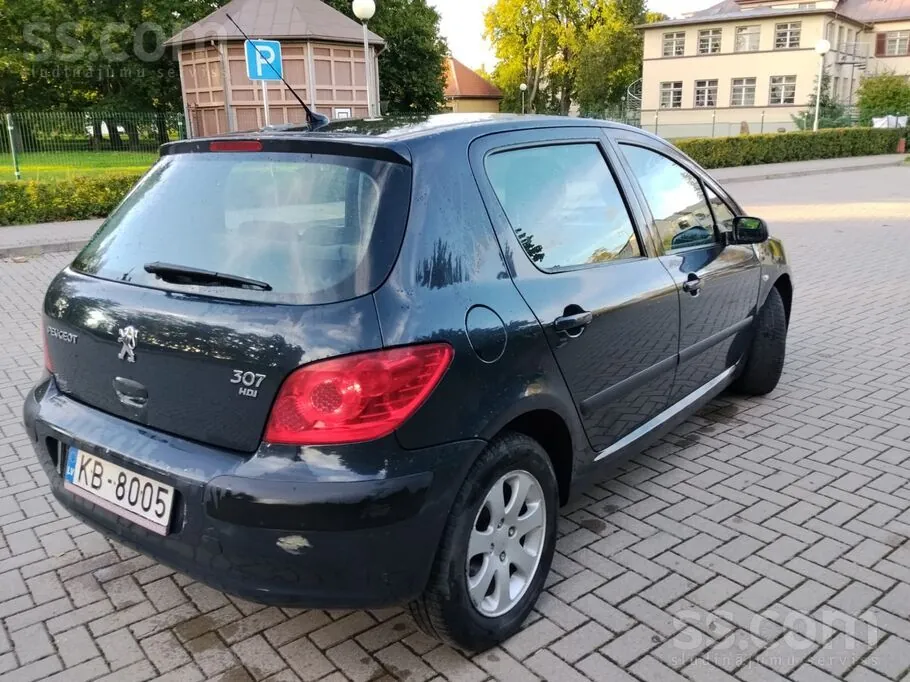 Peugeot 307 2006 photo 3