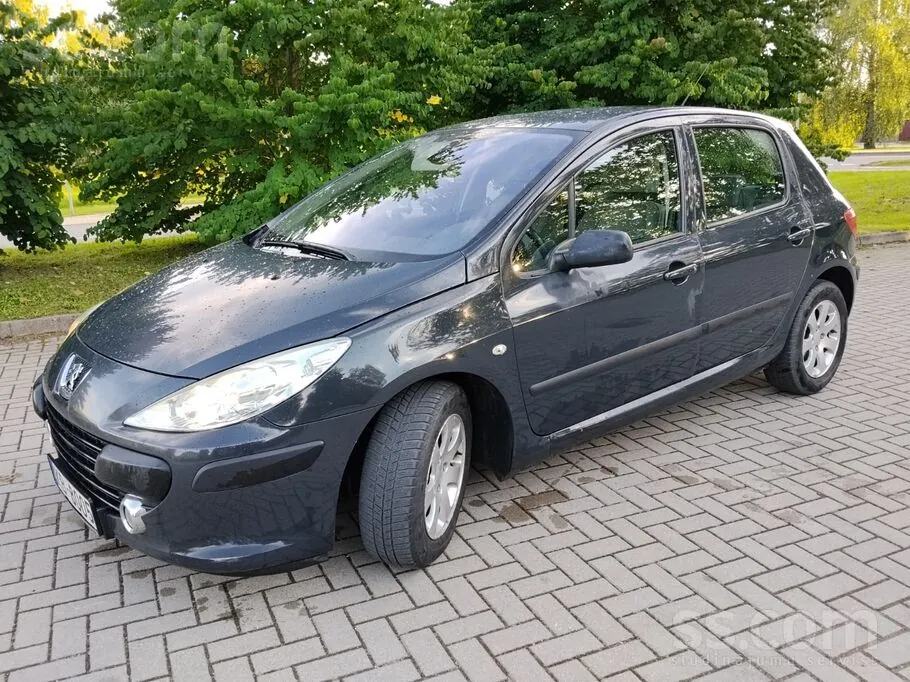 Peugeot 307 2006 photo 5