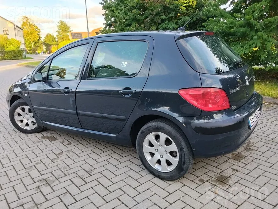Peugeot 307 2006 photo 4