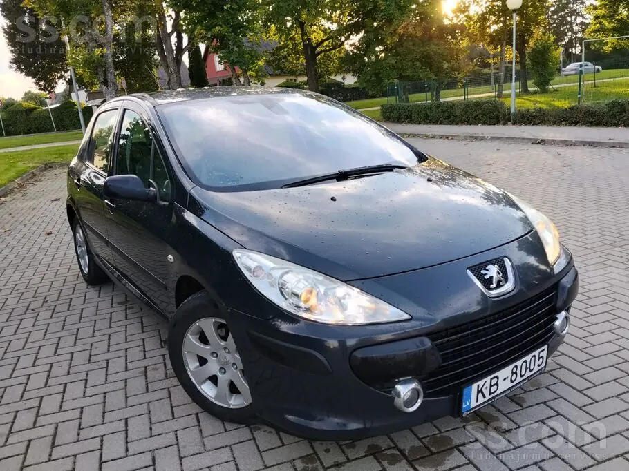 Peugeot 307 2006 photo 2
