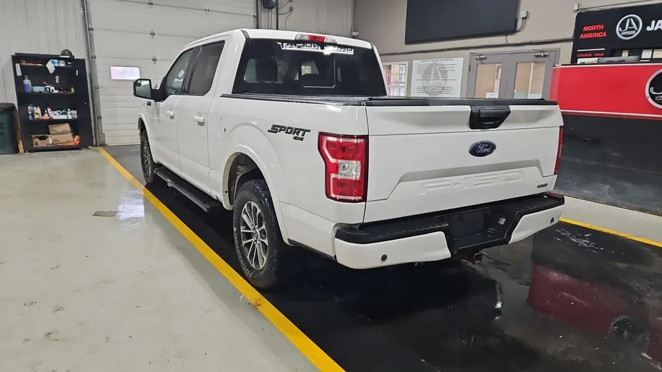 Ford F-150 2019 photo 3