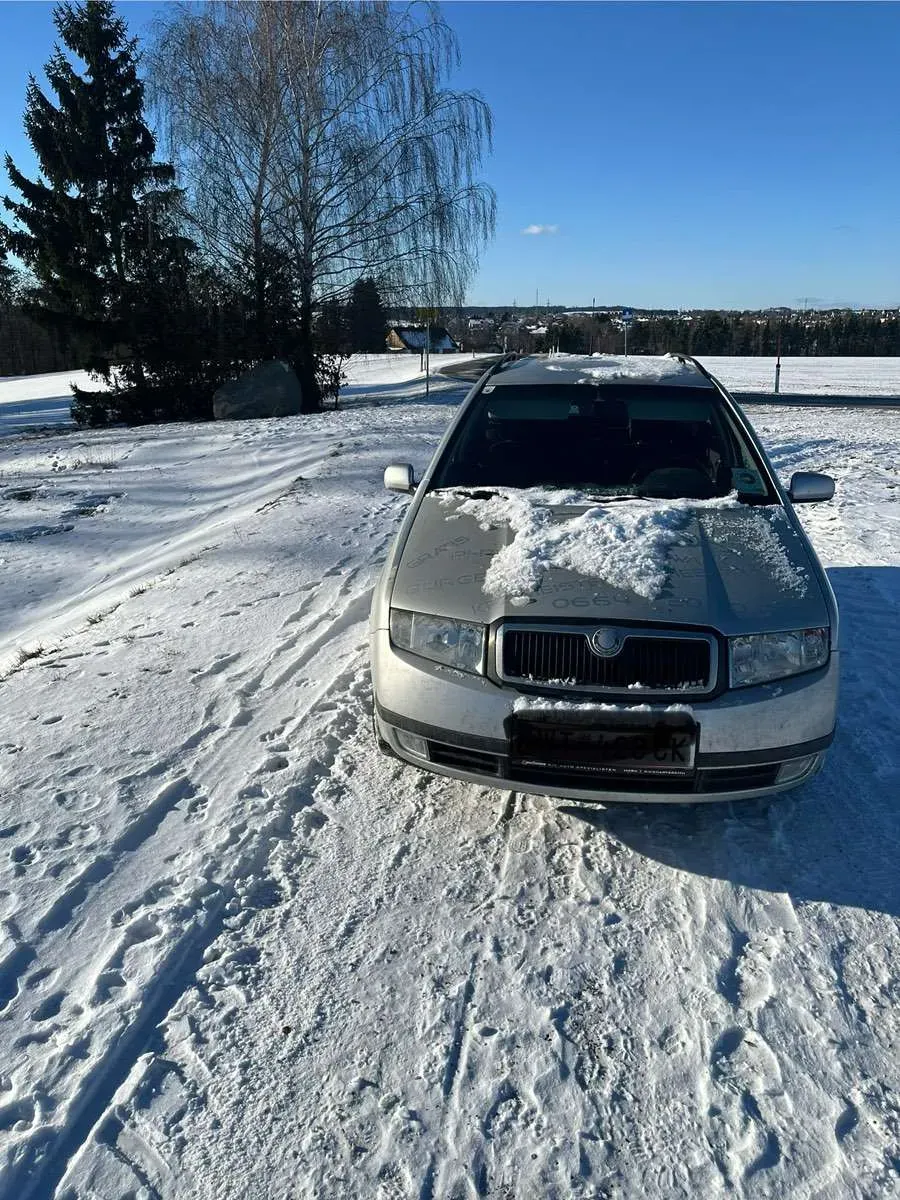 Skoda Fabia 2003 photo 3