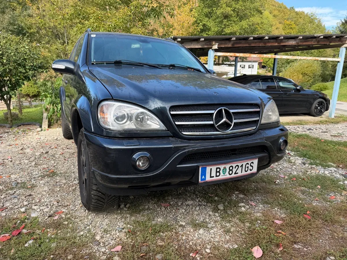 Mercedes-Benz M-Class 2002 photo 2