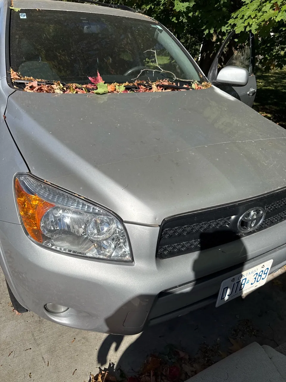 Toyota Rav4 2006 photo 3