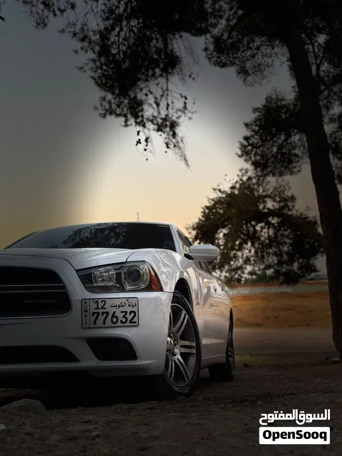 Dodge Charger 2013 photo 5