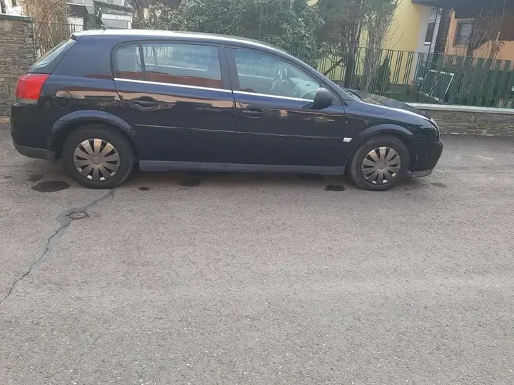 Opel Signum 2004 photo 2