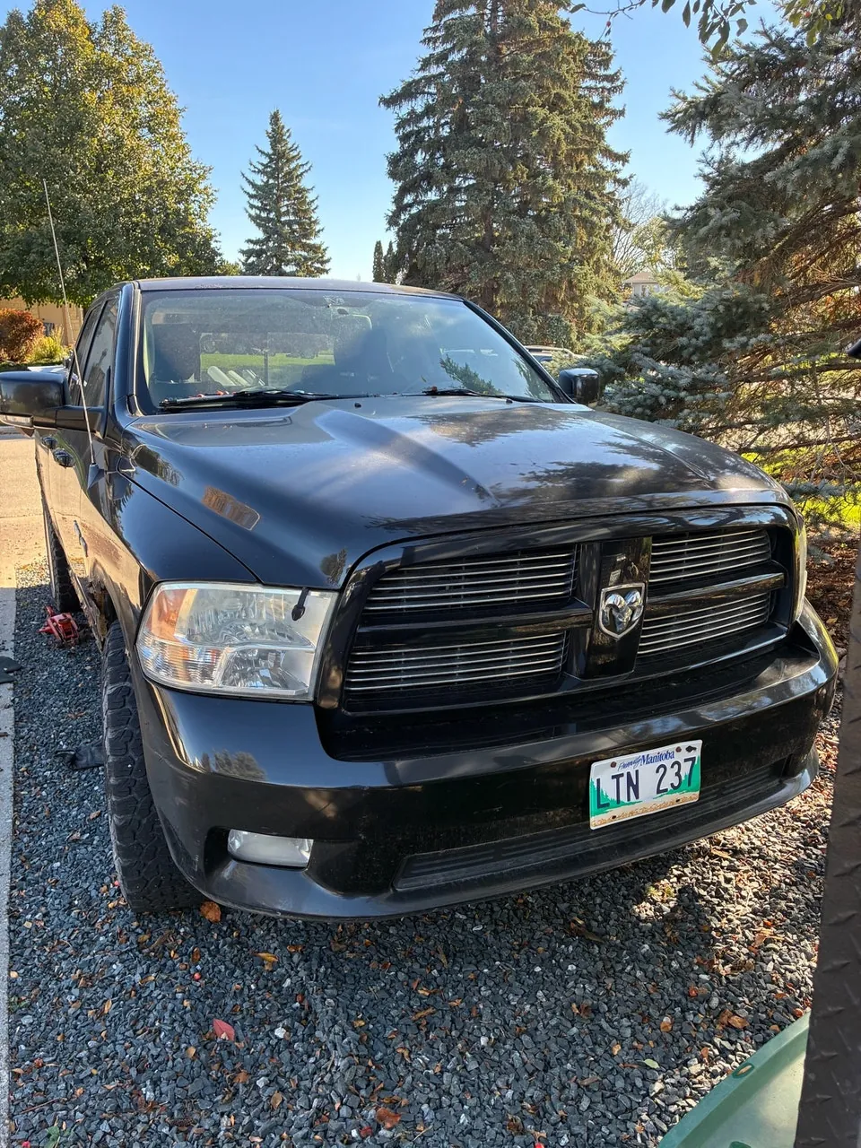 Dodge Ram 1500 2010 photo 3
