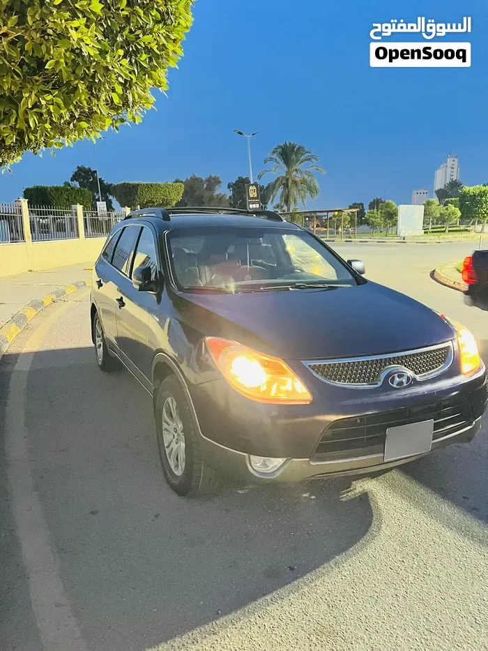 Hyundai Veracruz 2010 photo 4