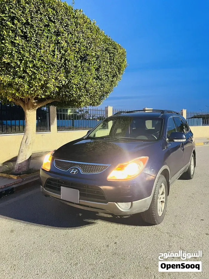 Hyundai Veracruz 2010 photo 3