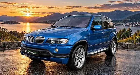 BMW X5